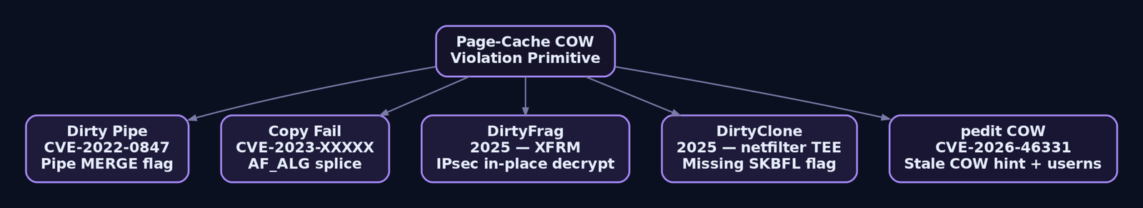 Hierarchy diagram showing the DirtyFrag family tree with the common page-cache COW violation primitive at the root and five descendant vulnerabilities including Dirty Pipe, DirtyFrag, DirtyClone, and pedit COW